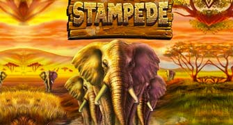 stampede slot